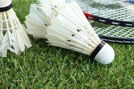 发展的典范 发展的典范