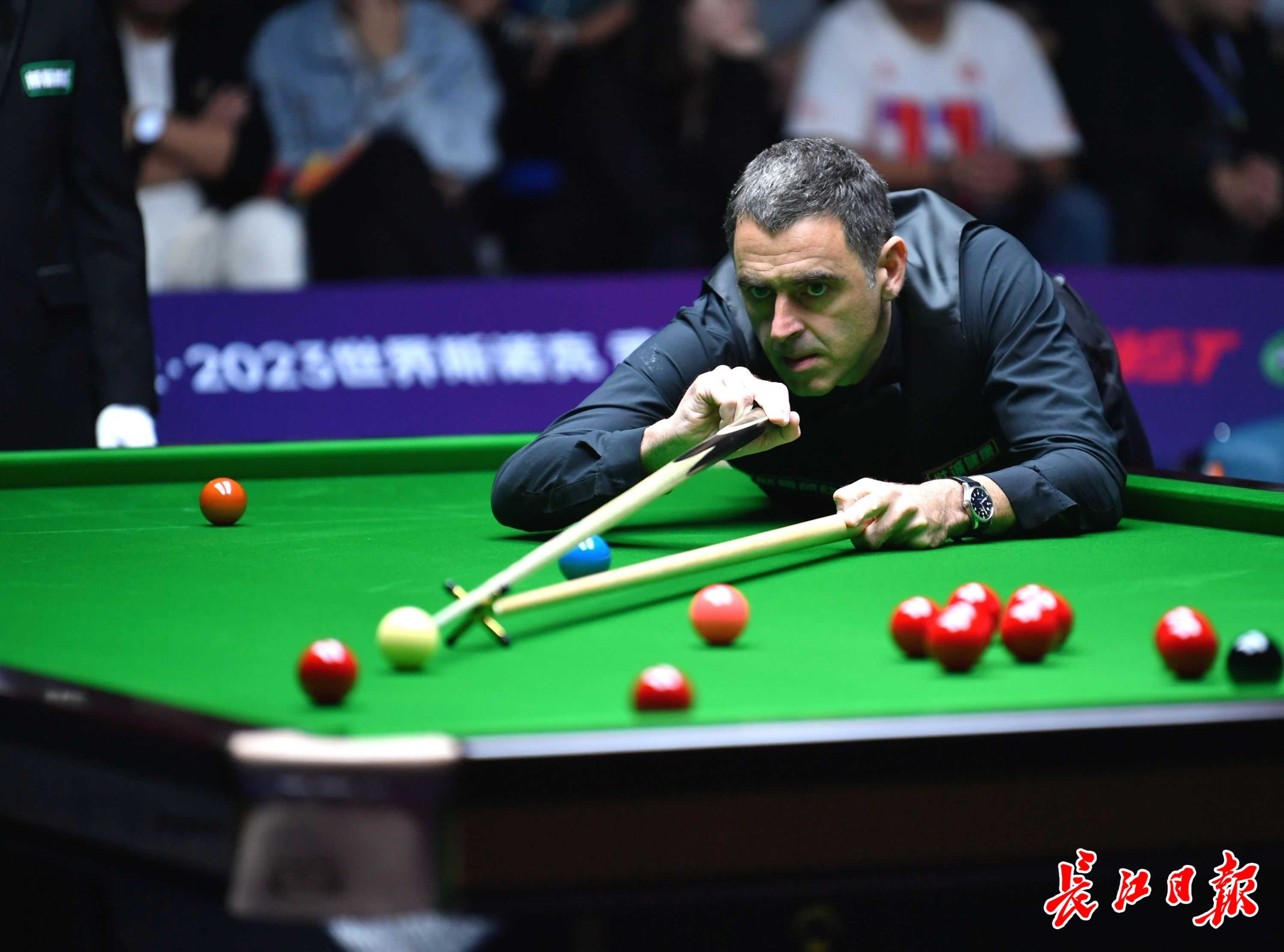 信团队协作 信团队协作