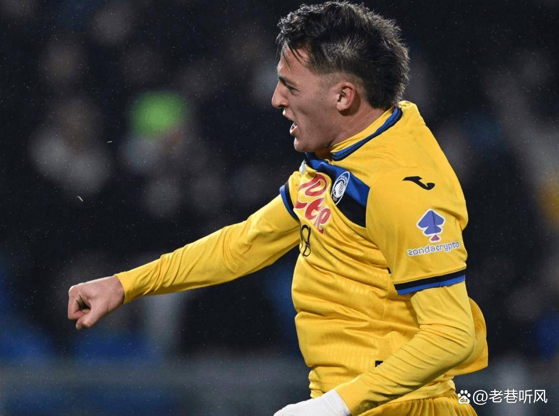 不仅着力打 不仅着力打