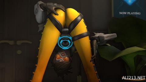 德国的许多 德国的许多